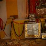 Vraj-Yatra-2014- (2881)